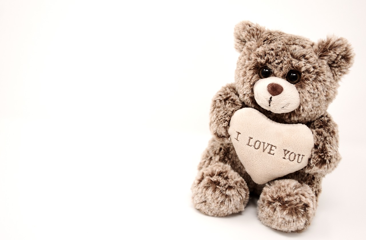 teddy love valentine's day free photo