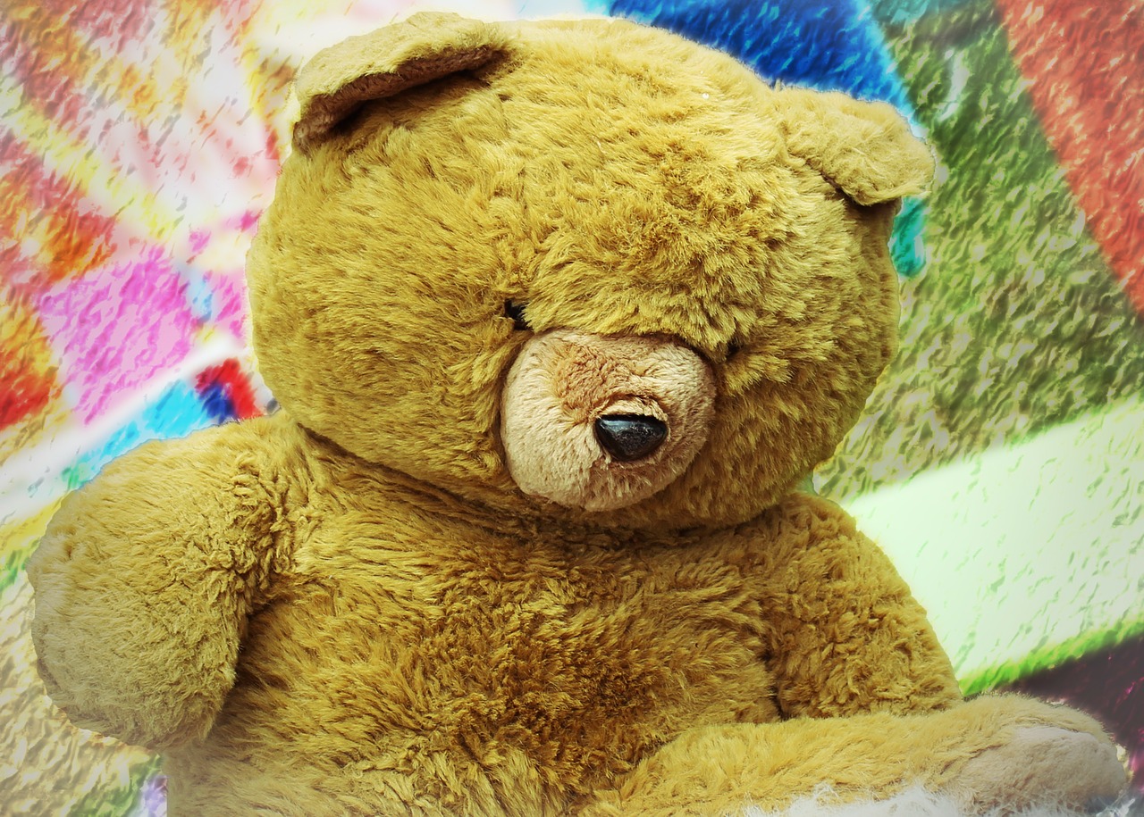 teddy teddy bear soft toys free photo