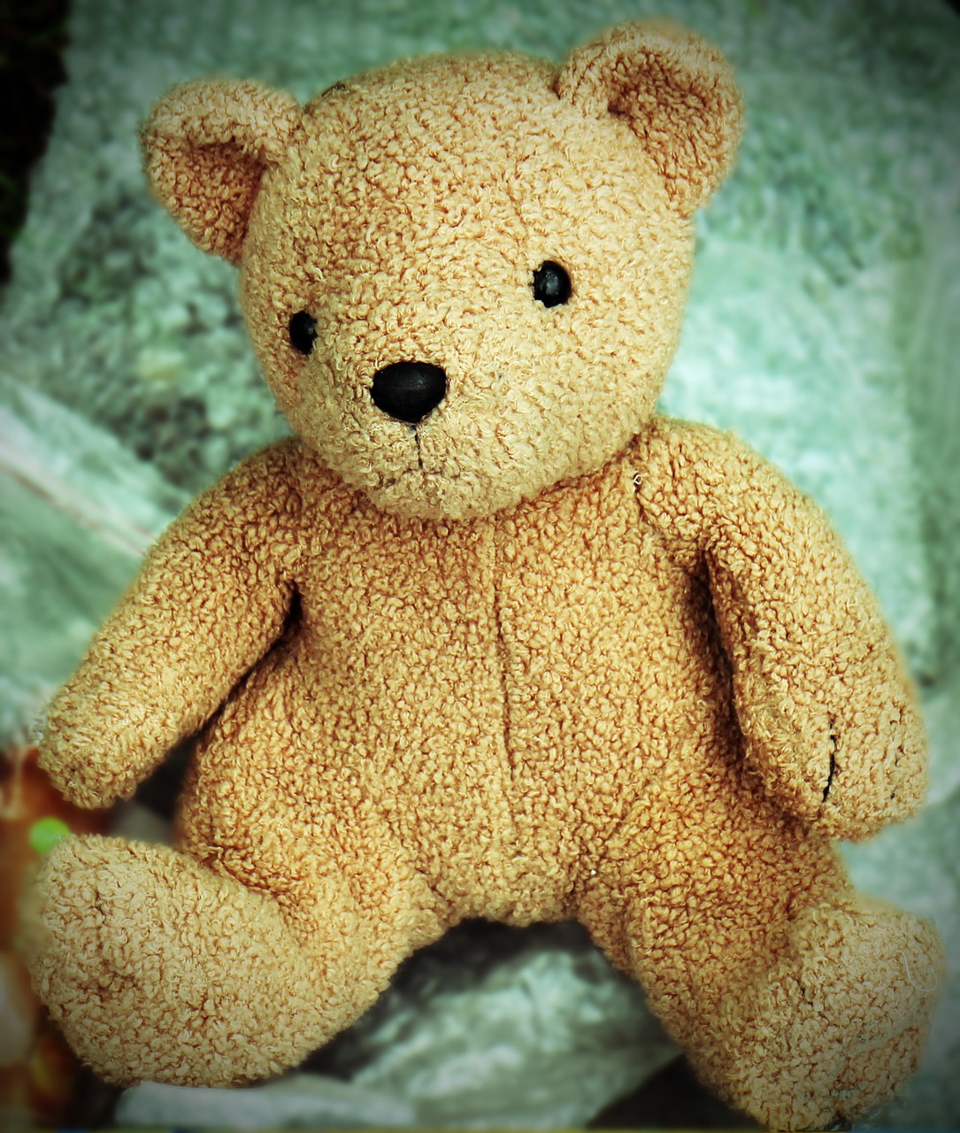 teddy teddy bear soft toys free photo