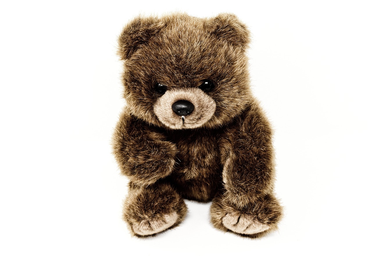 teddy  cute  soft toy free photo