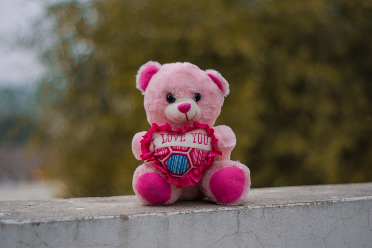 teddy  portrait  toys free photo