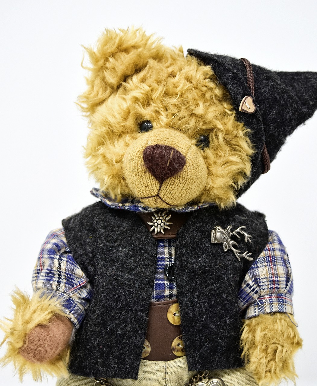 teddy  costume  clothing free photo