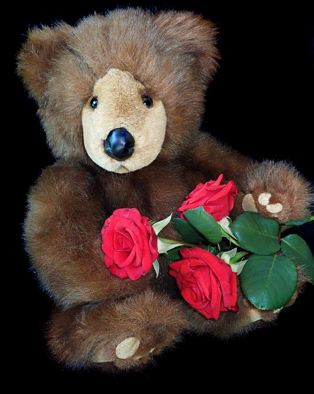 teddy  bear  valentine free photo