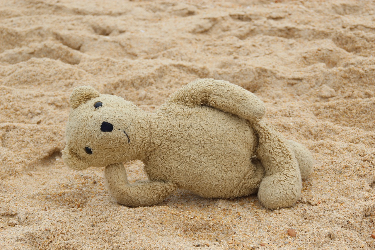 teddy  bear  beach free photo