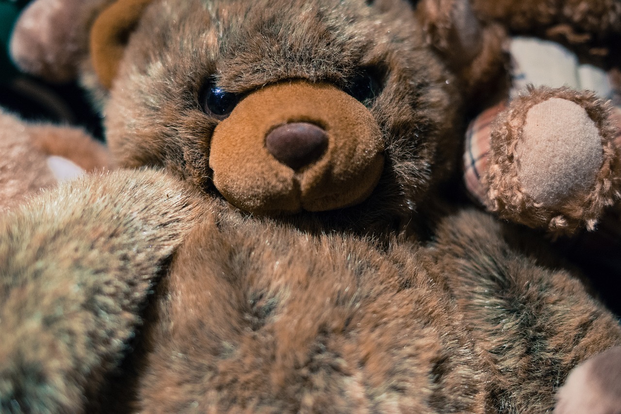 teddy  bear  toy free photo