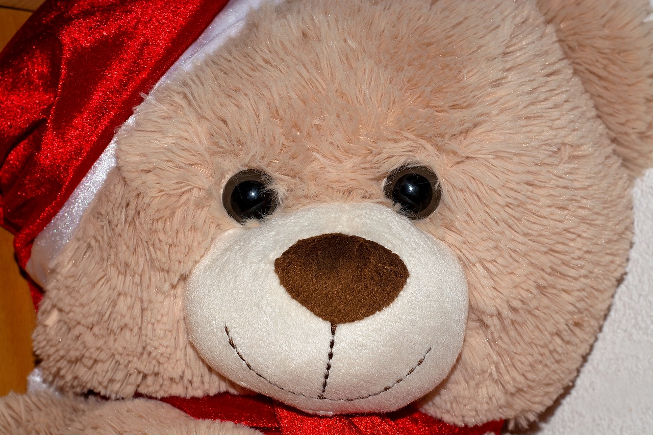 teddy  bear  teddy bear free photo