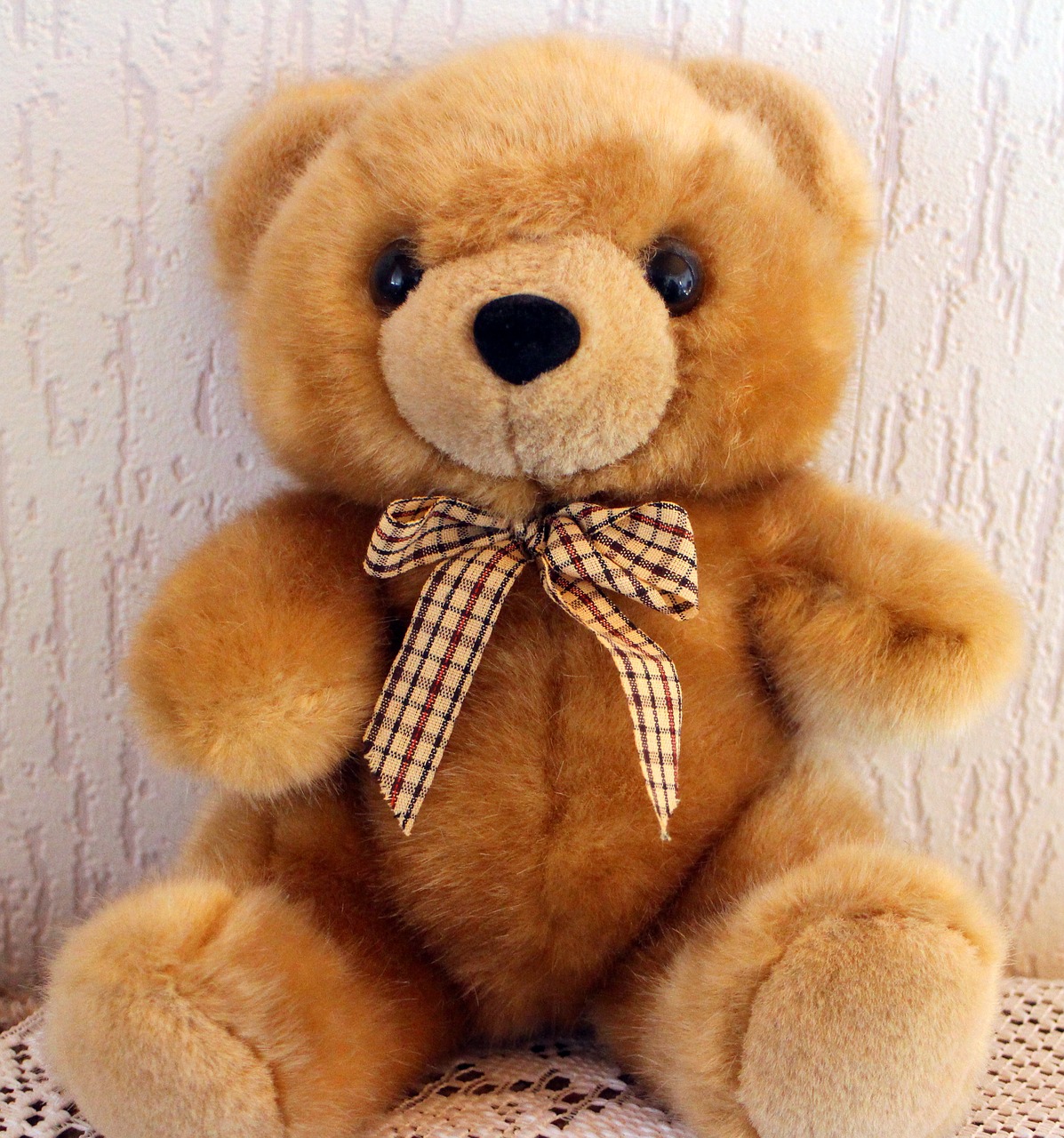 teddy bear teddy bear free photo