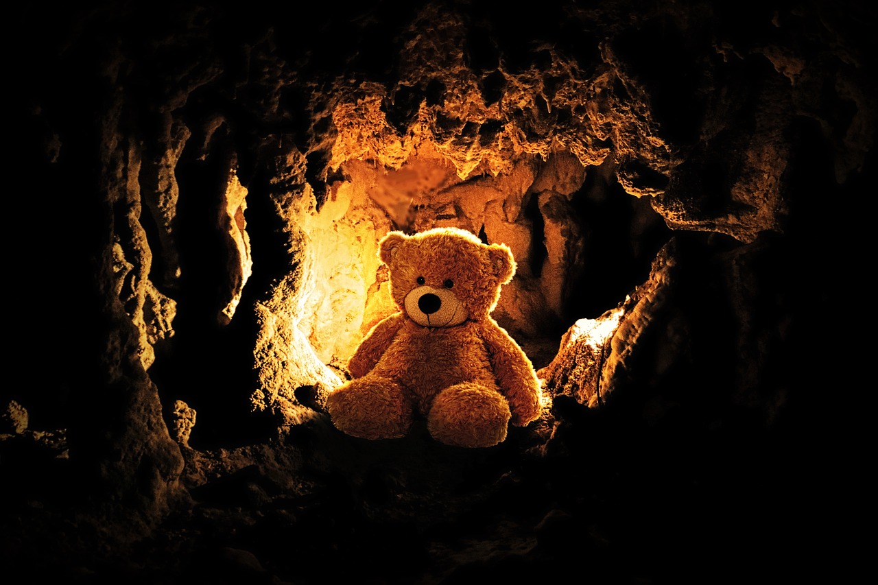 teddy  bear  toys free photo