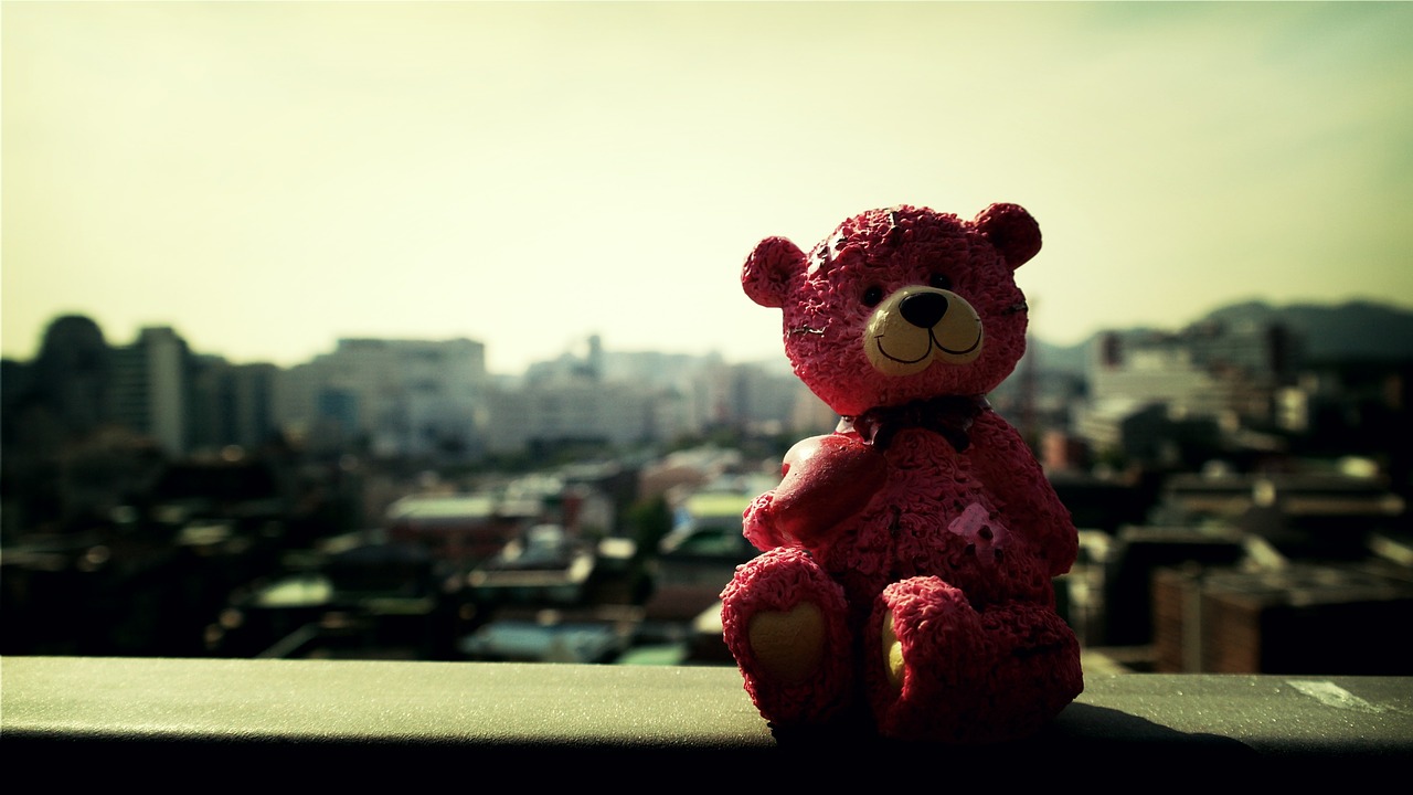 teddy bear toy free photo