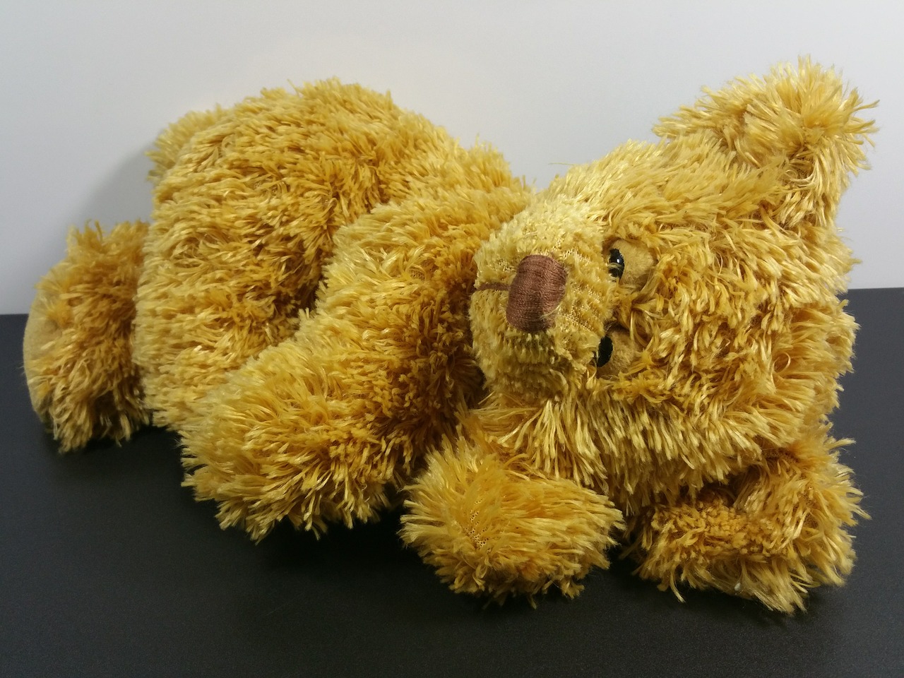 teddy bear toys free photo