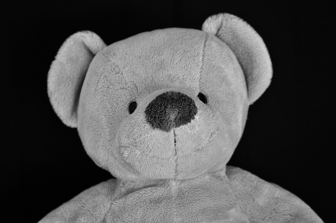 teddy teddy bear soft toy free photo