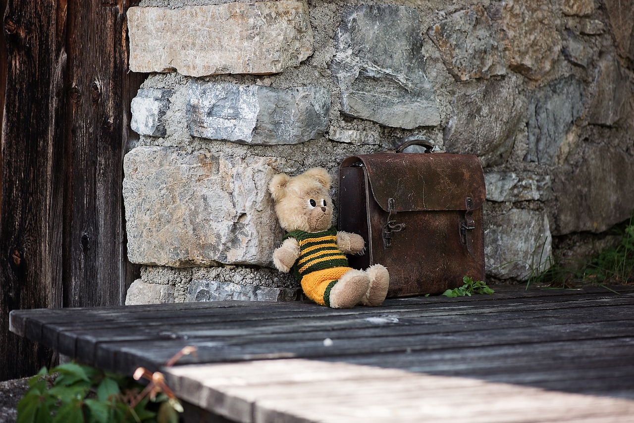 teddy teddy bear schoolbag free photo