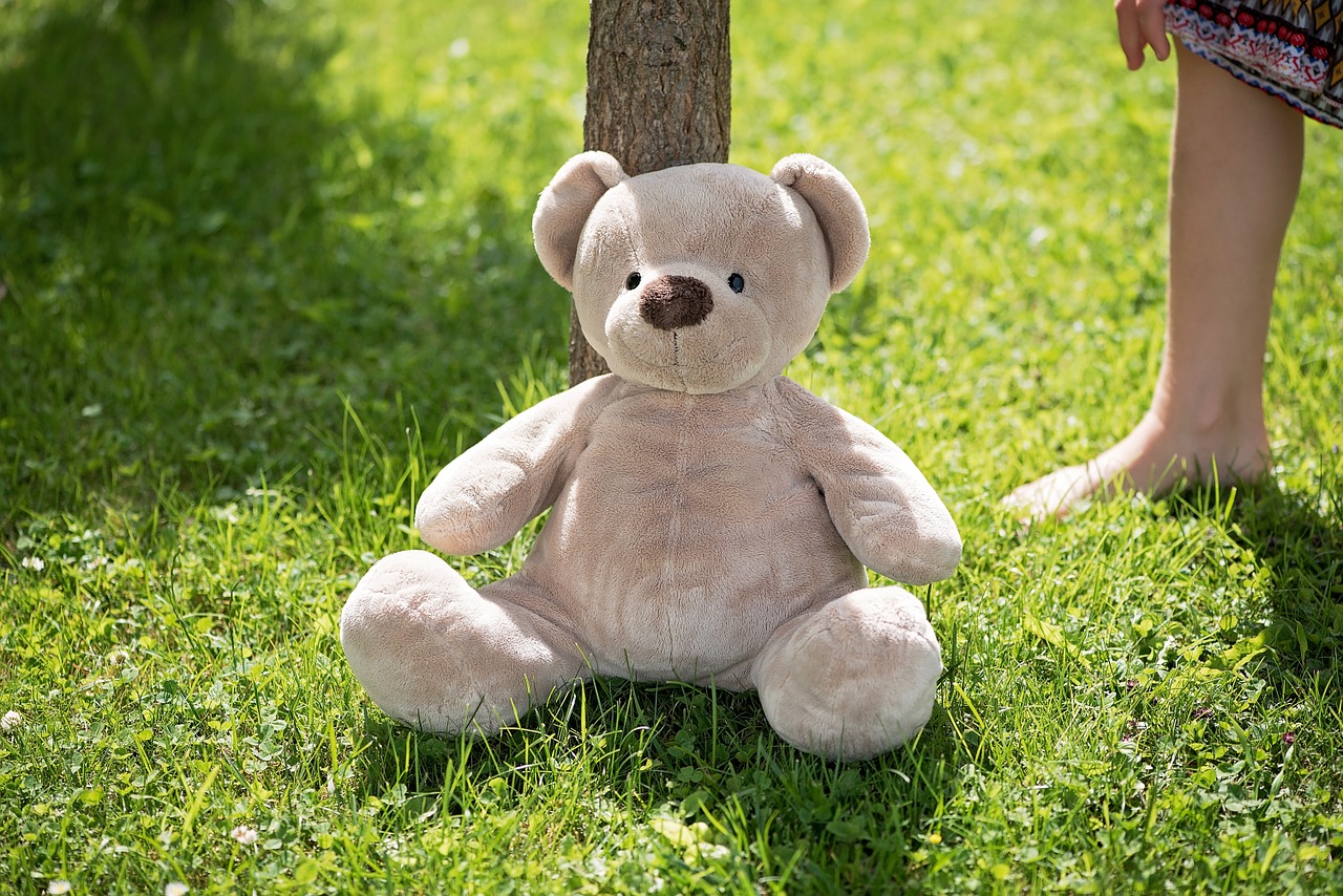 teddy teddy bear soft toy free photo