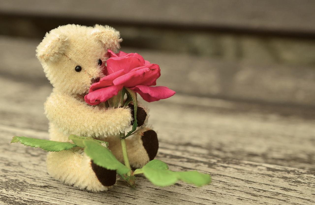 teddy teddy bear rose free photo