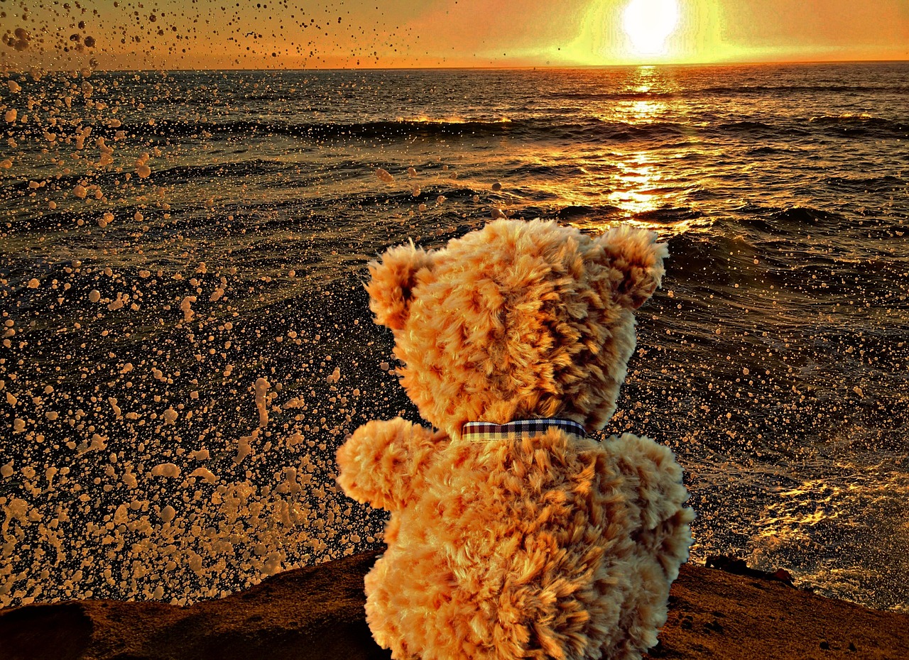 teddy bear lonely sunset free photo