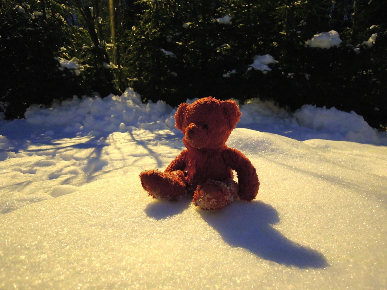 teddy bear red snow free photo