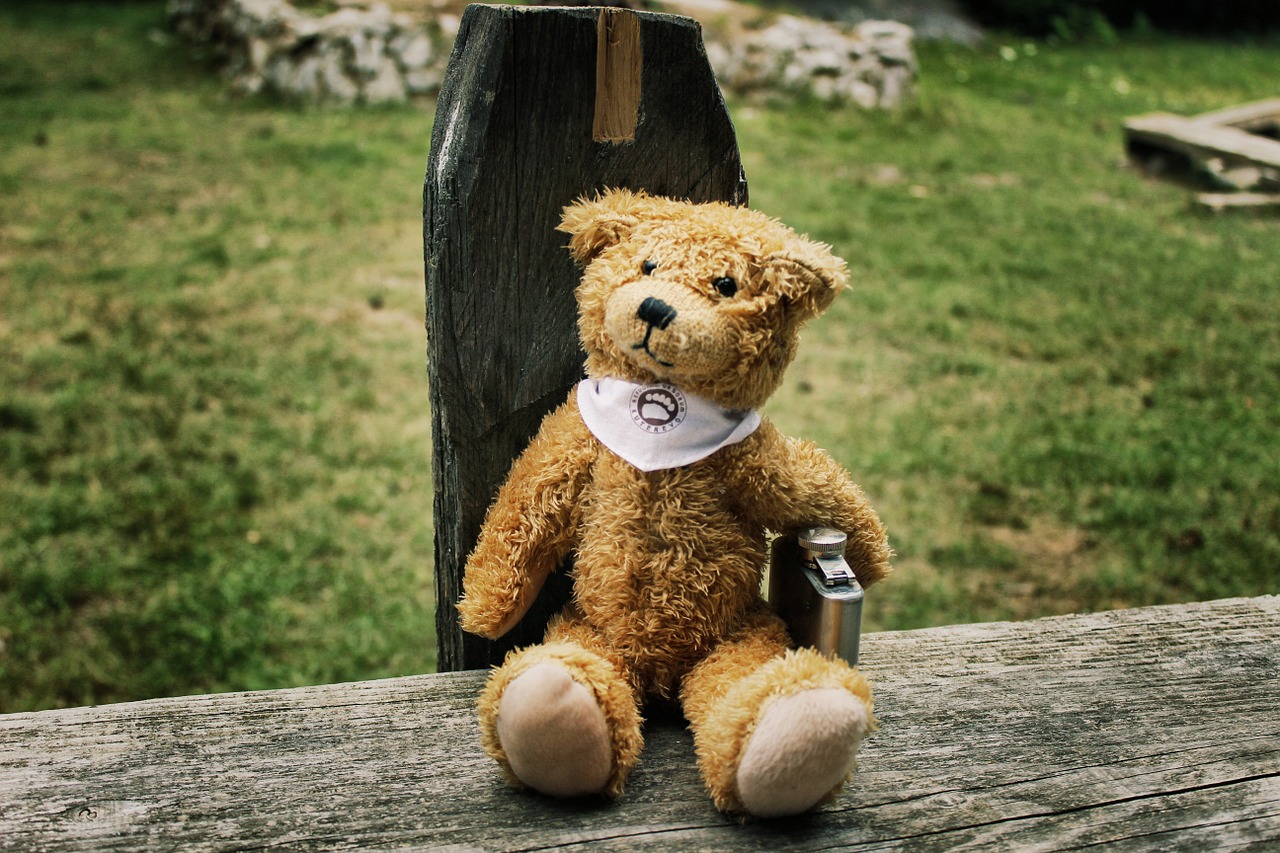 teddy bear teddy alcohol free photo