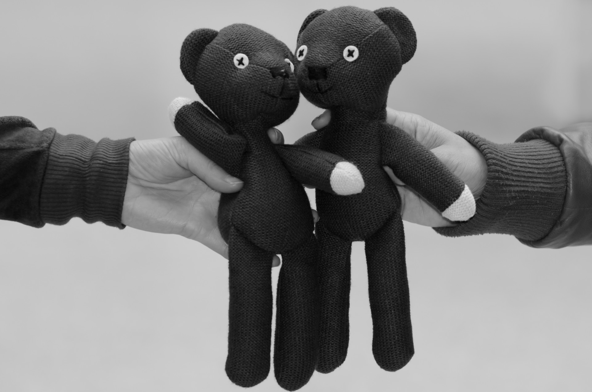 teddy bear toy couple free photo