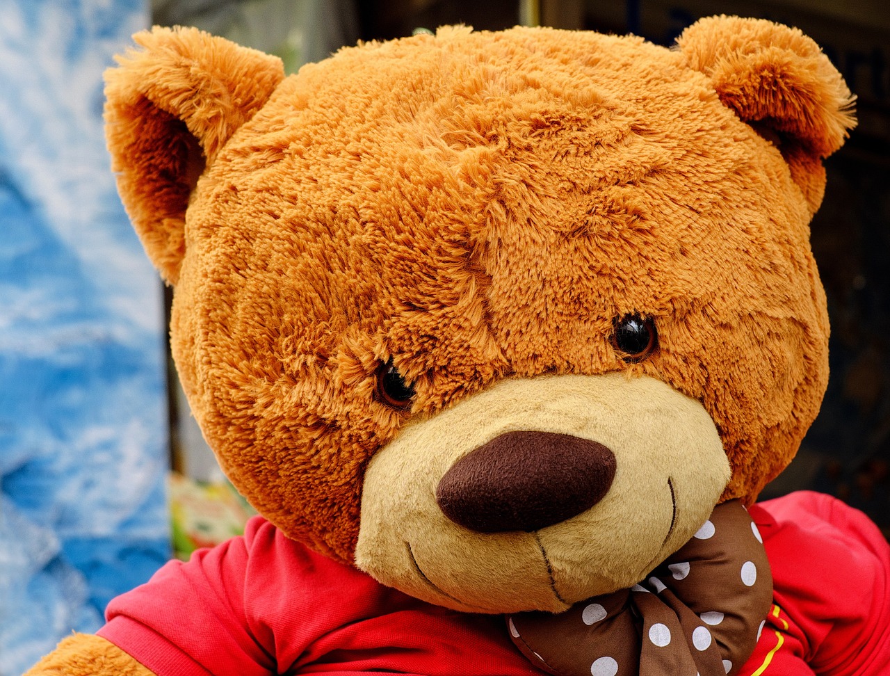 teddy bear soft toy toys free photo