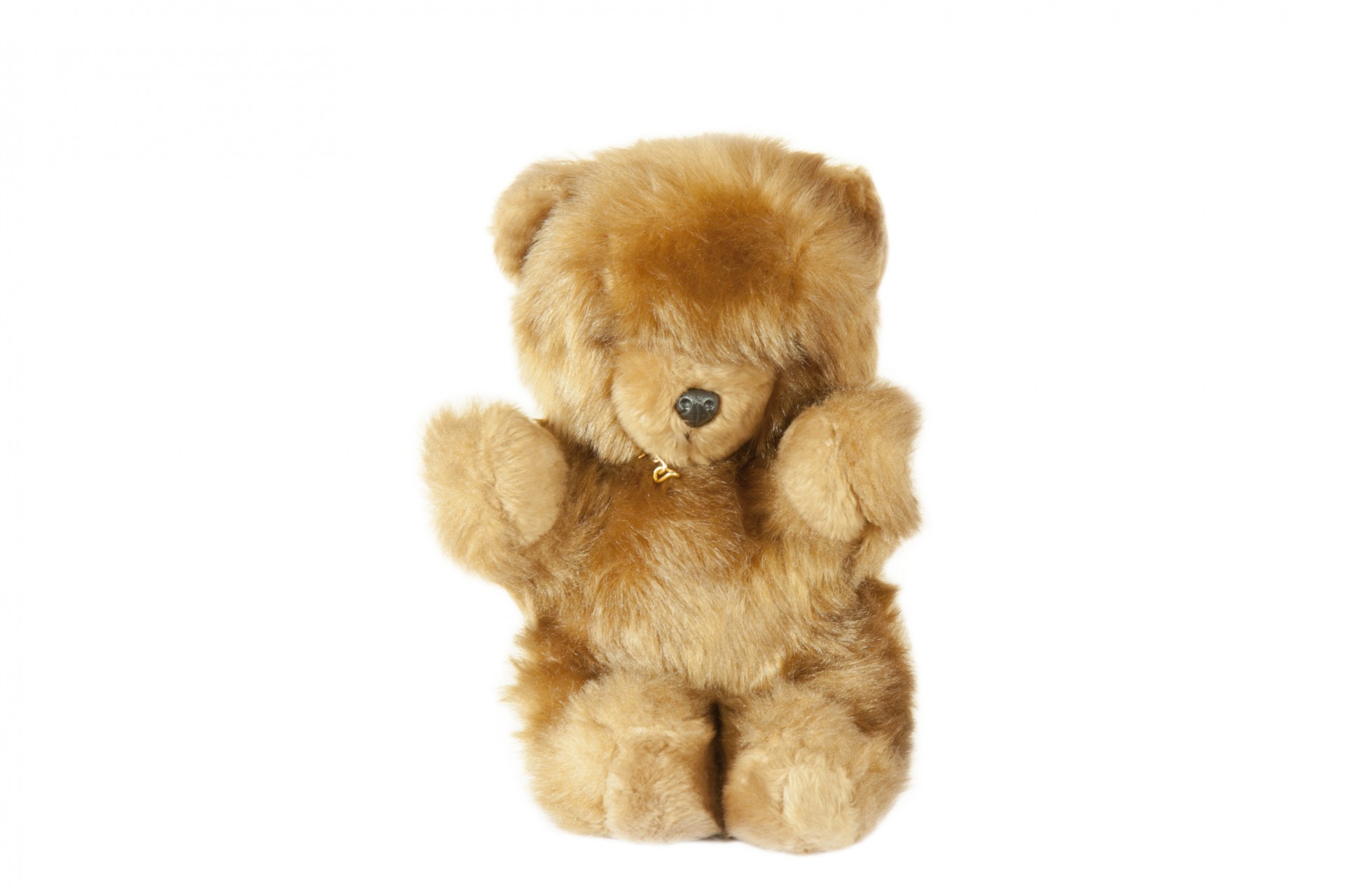 bear teddy teddy bear free photo