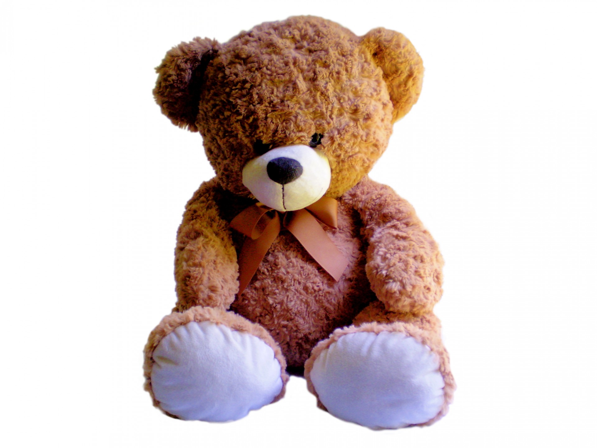 Teddy Bear Plush Toy Free Photo. 