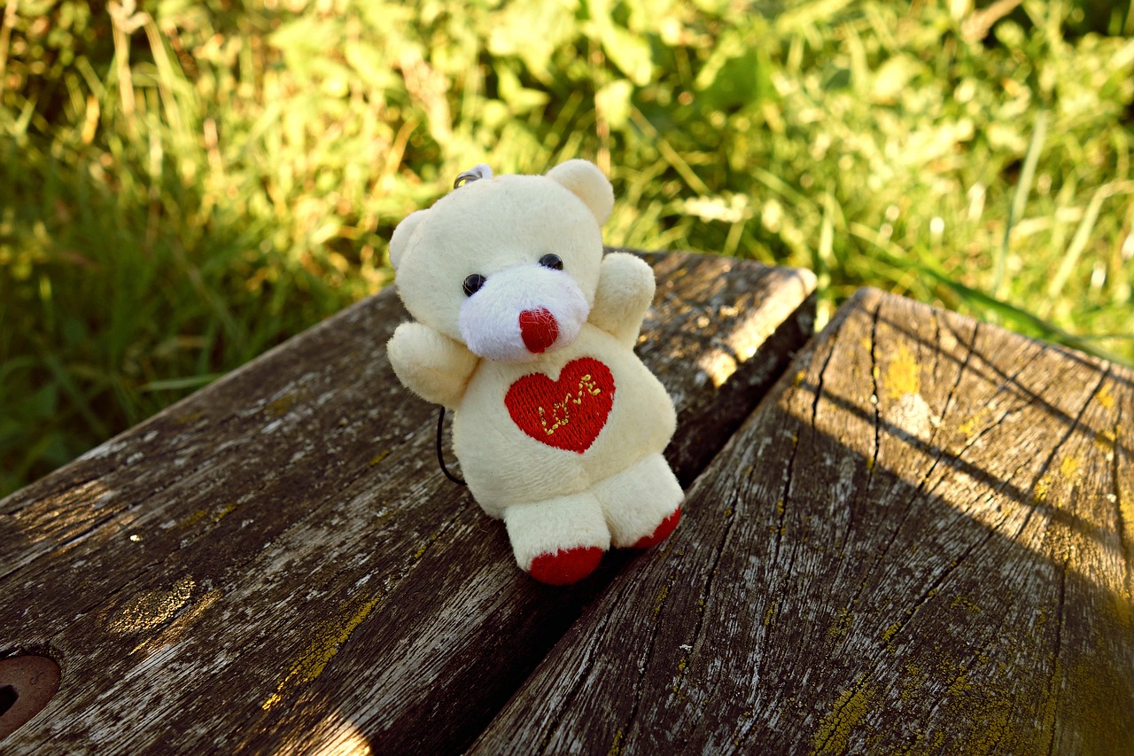 teddy bear bear toy free photo