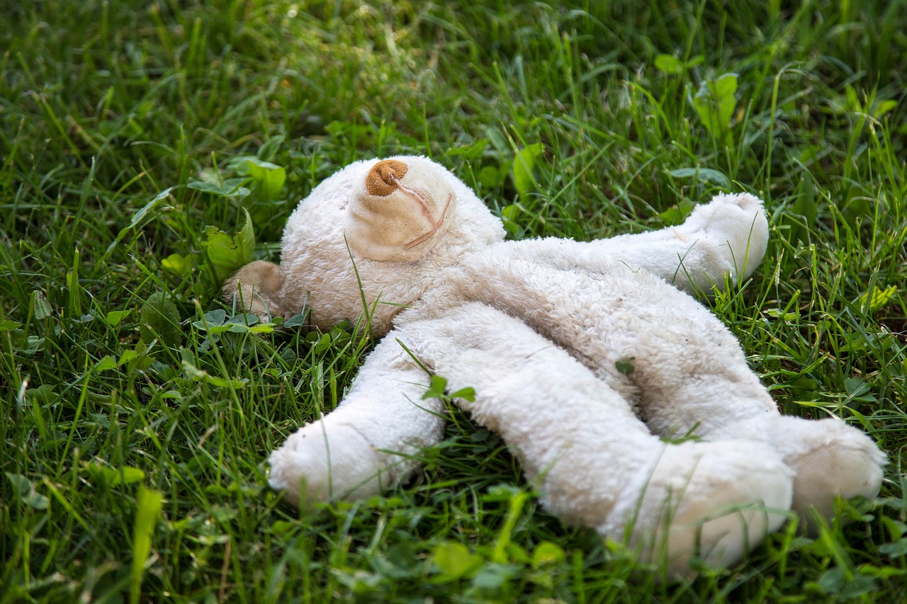 teddy bear toys plush free photo