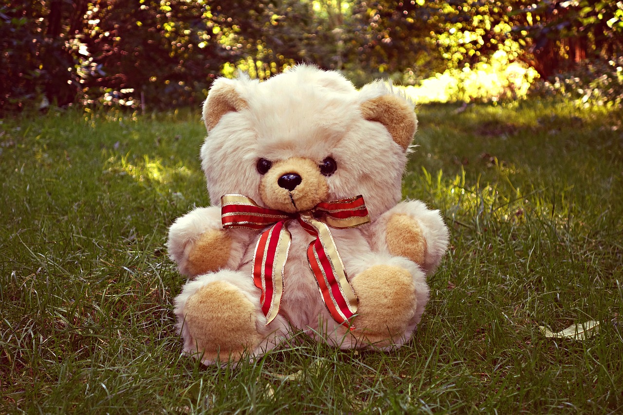 teddy bear bear teddy free photo