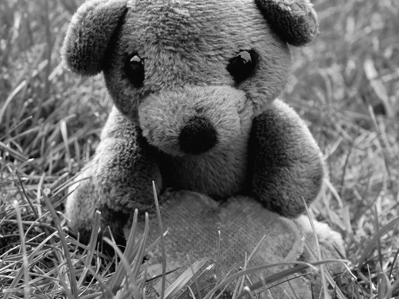 teddy bear teddy mascot free photo