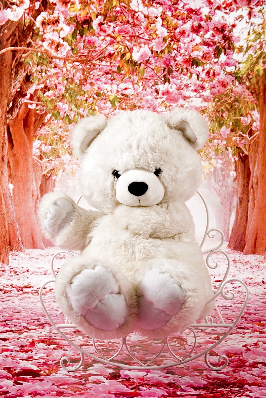 teddy bear plush toy free photo