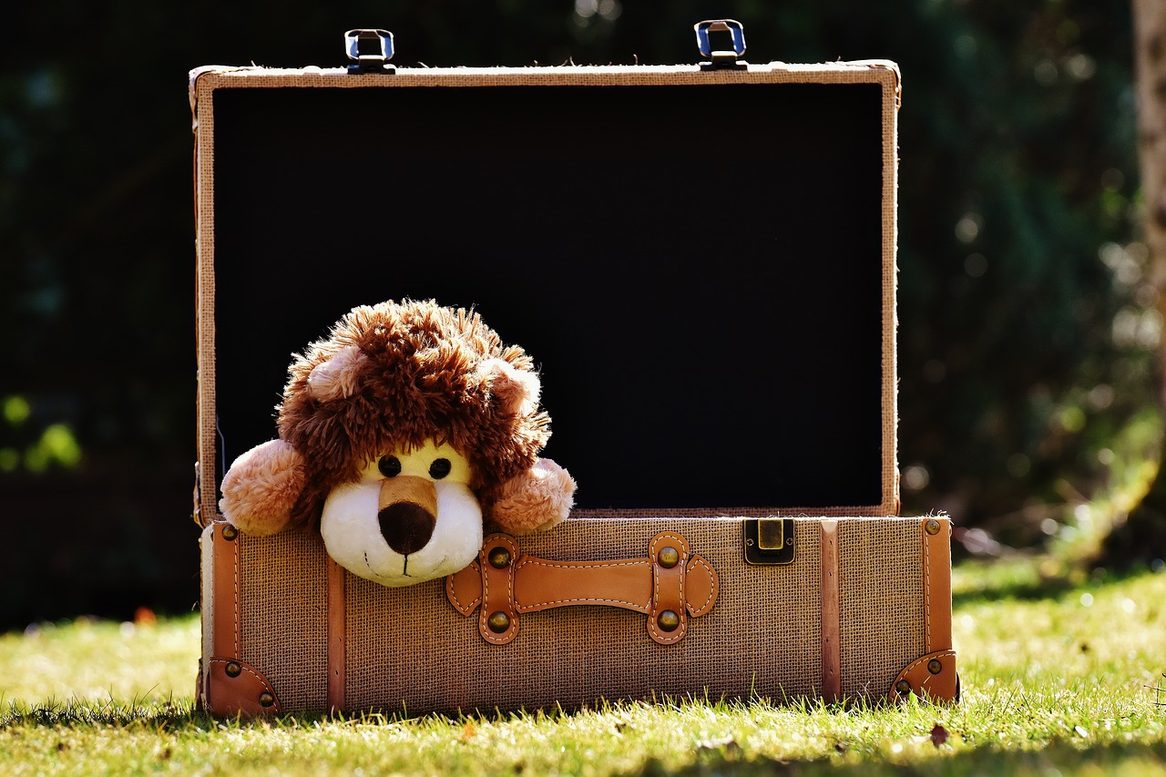 teddy bear lion luggage free photo