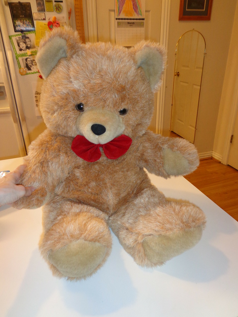 teddy bear stuffed animal animal free photo