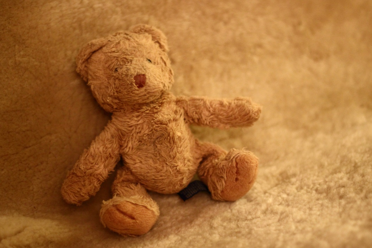teddy bear stuffed animal teddy free photo