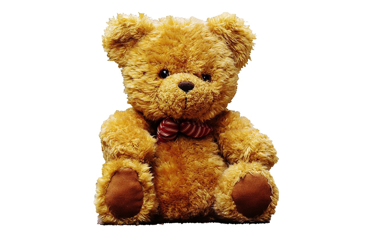 teddy bear teddy bear free photo