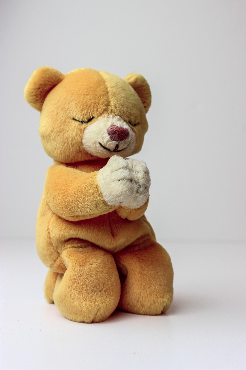 teddy bear  beanie baby  pray free photo
