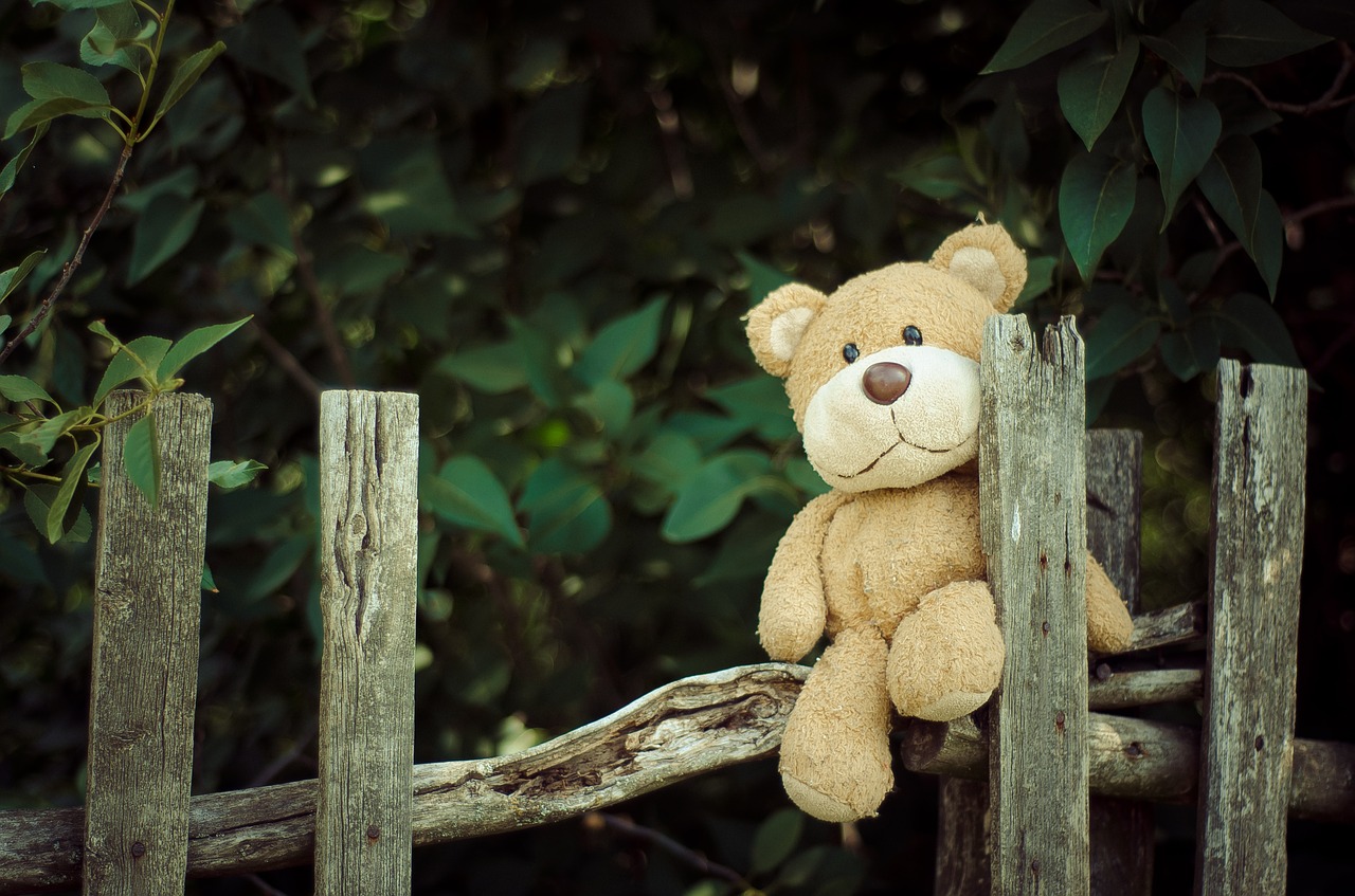 teddy bear  toy  bear free photo