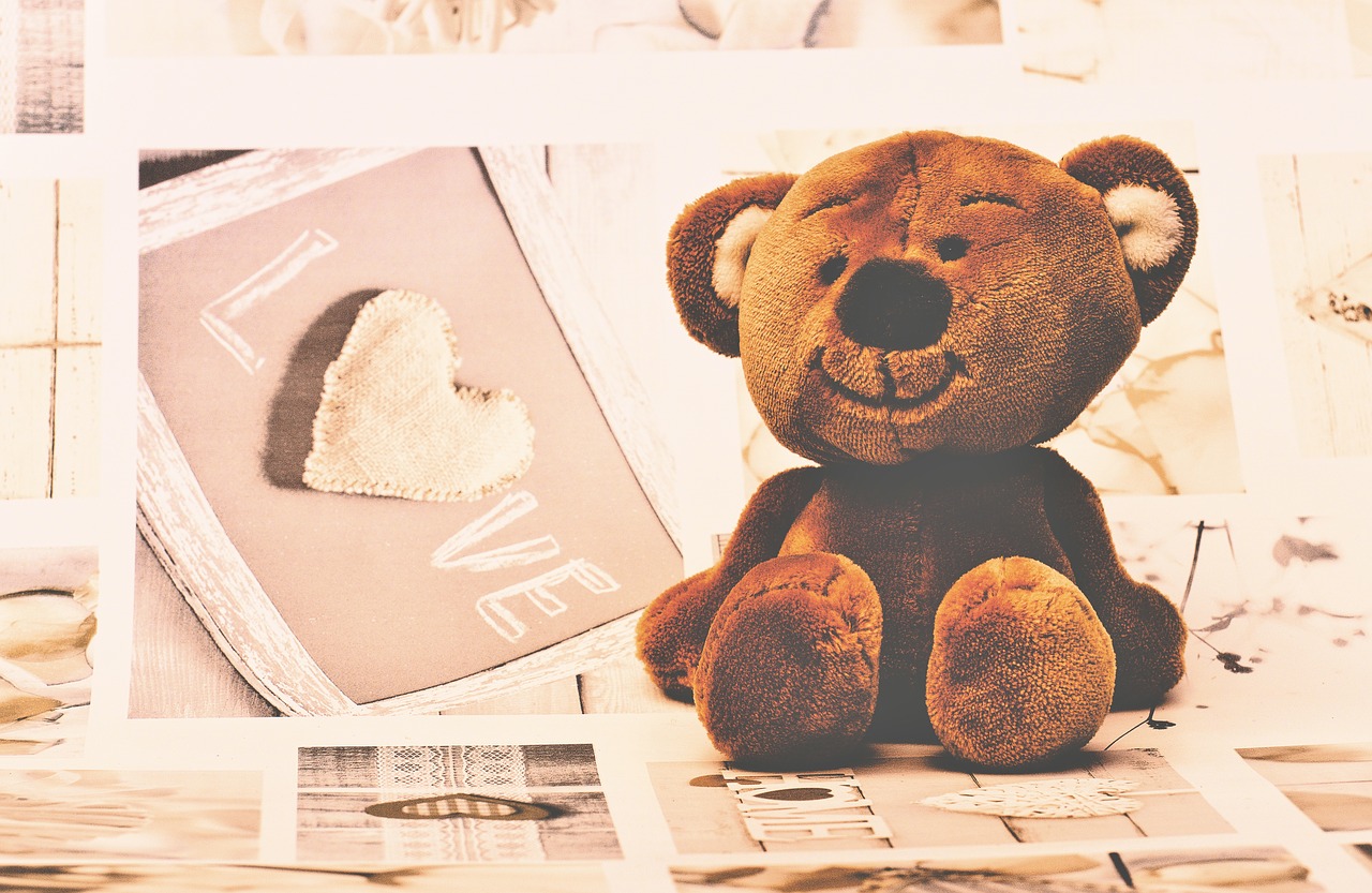 teddy bear  teddy  soft toys free photo