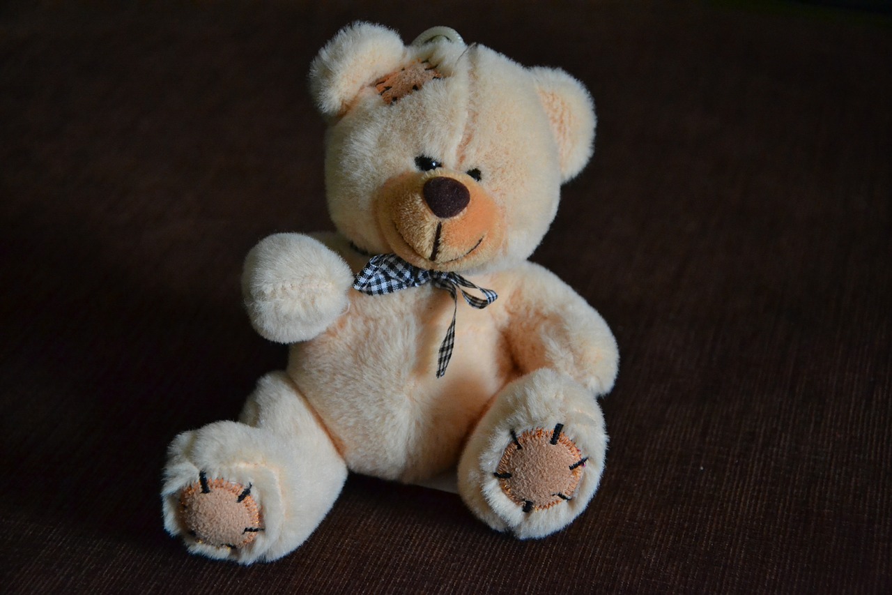 teddy bear bears misiak free photo