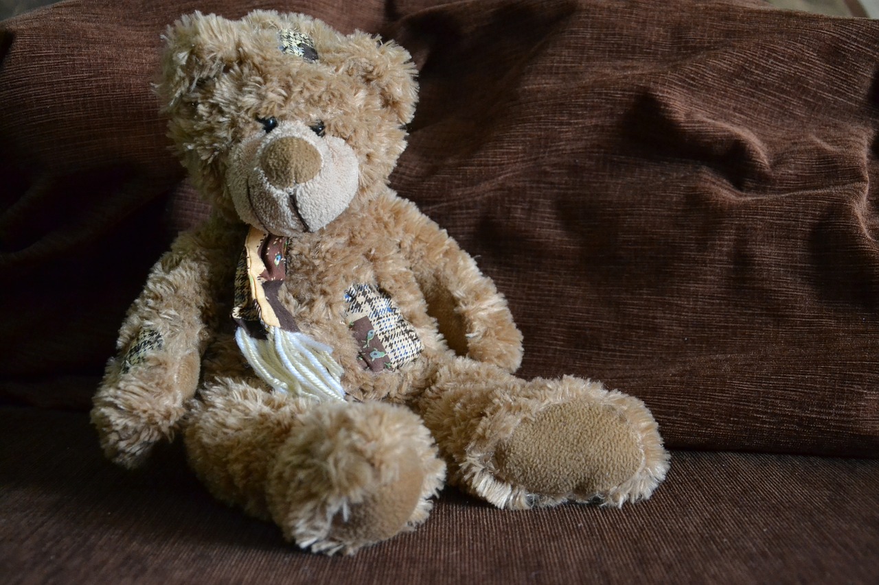 teddy bear bears misiak free photo