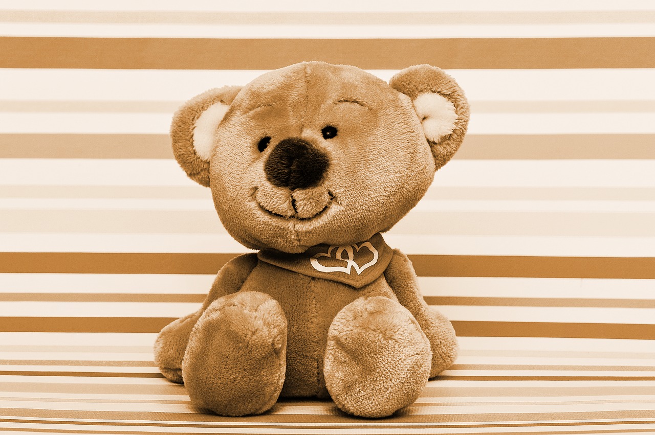 teddy bear  teddy  soft toys free photo