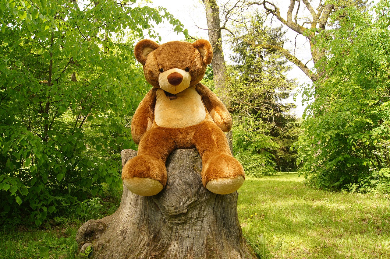 teddy bear  plush  nature free photo