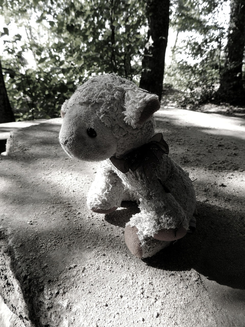 teddy bear sad stuffed animal free photo