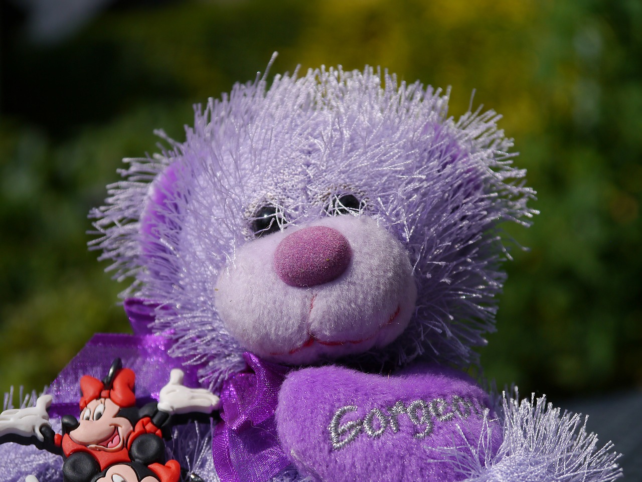 teddy bear purple bear free photo