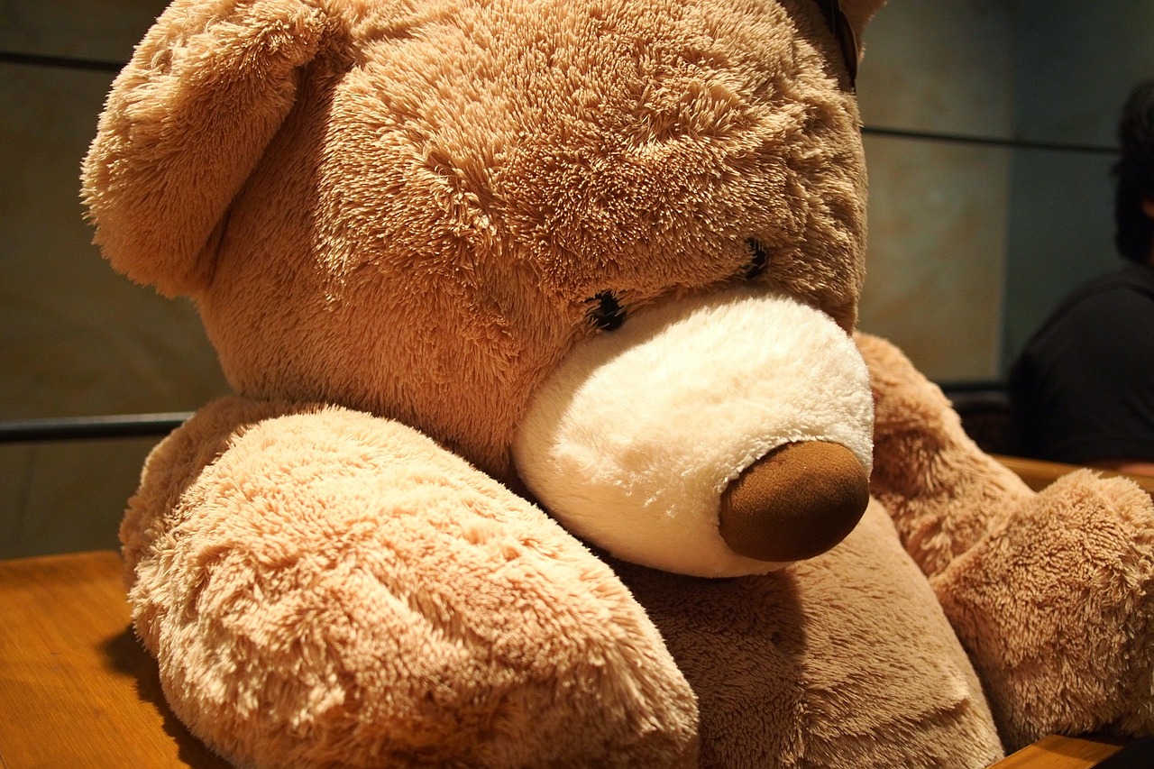 teddy bear toy soft toy free photo