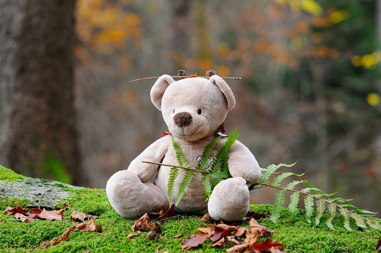 teddy bear bear children toys free photo