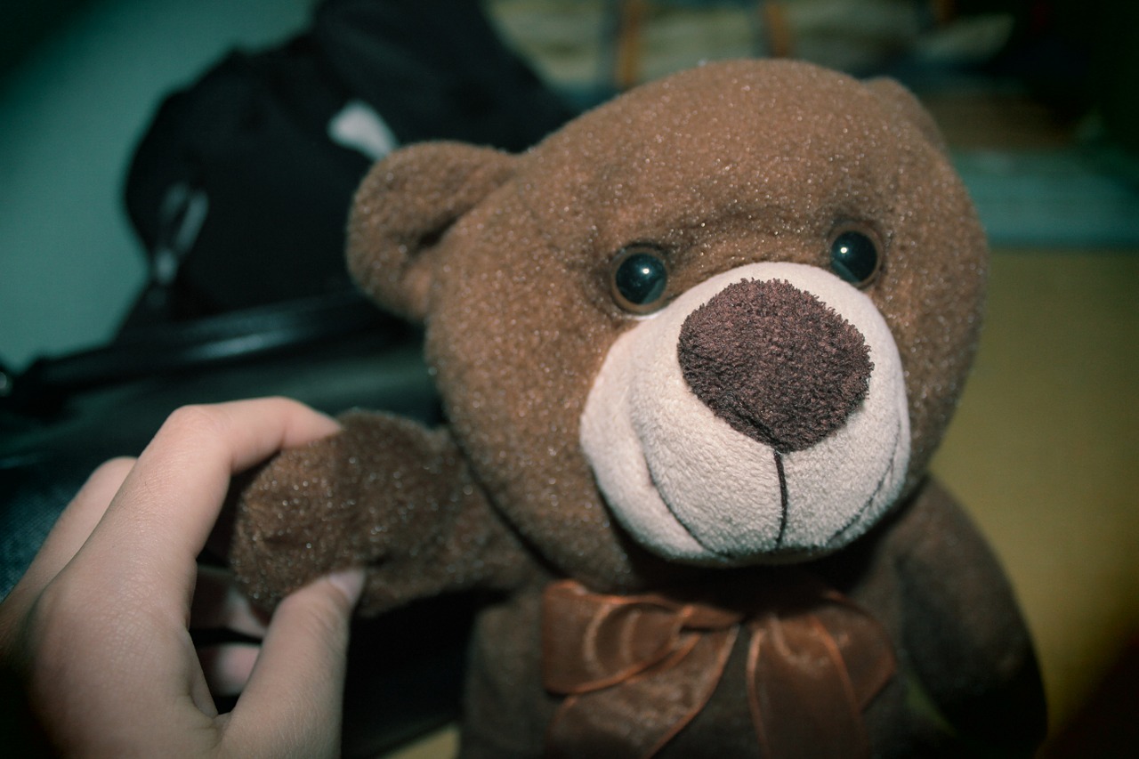 teddy bear doll bear free photo