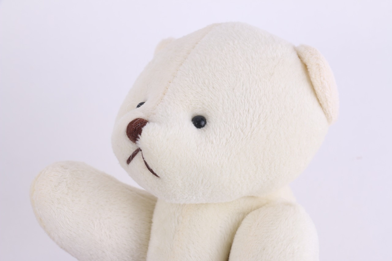 teddy bear bear doll free photo