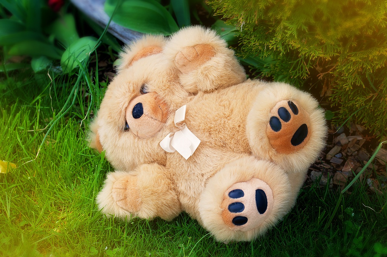 teddy bear stuffed animal soft toy free photo