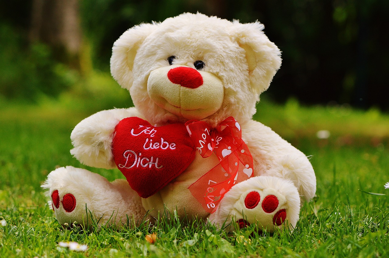 teddy bear valentine's day love free photo