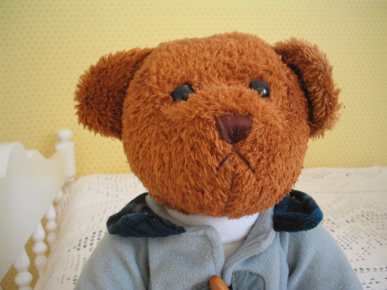 teddy bear brown clothing free photo